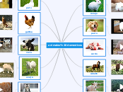 animales domesticos