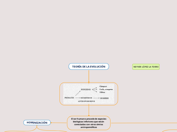 TEORÍA DE LA EVOLUCIÓN - Mapa Mental