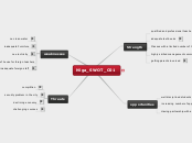 Niga_SWOT _C01 - Mind Map
