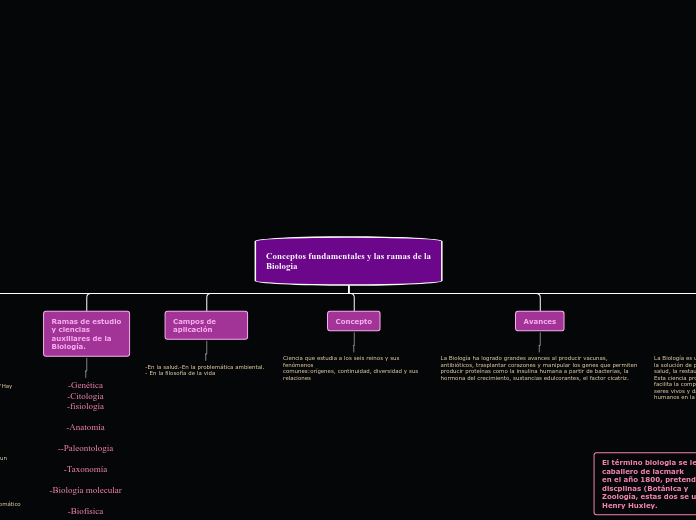 Conceptos fundamentales y las ramas de ...- Mapa Mental