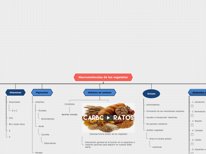 Macromoleculas de los vegetales - Mapa Mental