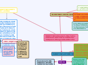 Explicar acciones de marketing relacional, ecológico y territorial