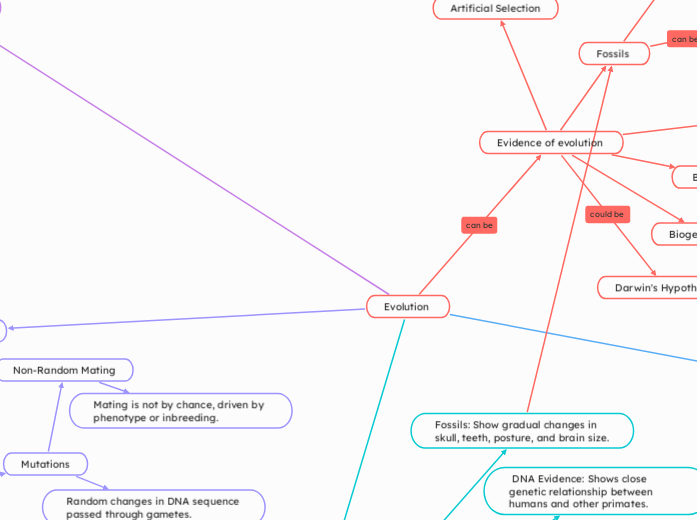 Evolution - Mind Map