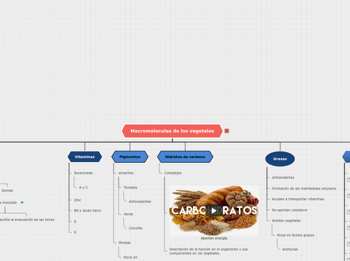 Macromoleculas de los vegetales - Mapa Mental
