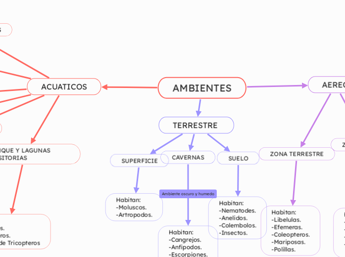 AMBIENTES