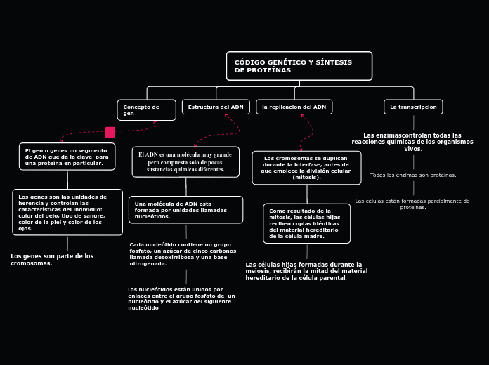 CÓDIGO GENÉTICO Y SÍNTESIS DE PROTEÍNAS - Mapa Mental