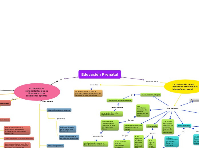 Educación Prenatal - Mapa Mental