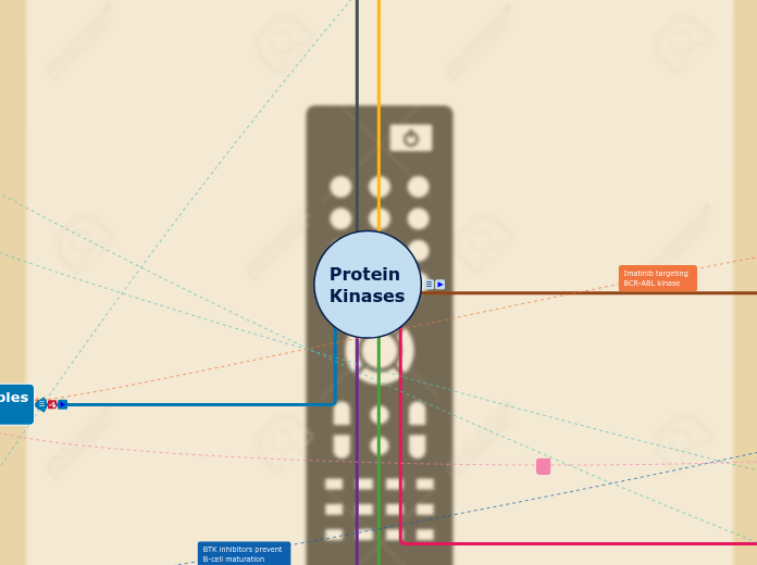 Protein 
Kinases - Mind Map