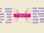 PRINCIPALES DIOSES GRIEGOS - Mapa Mental