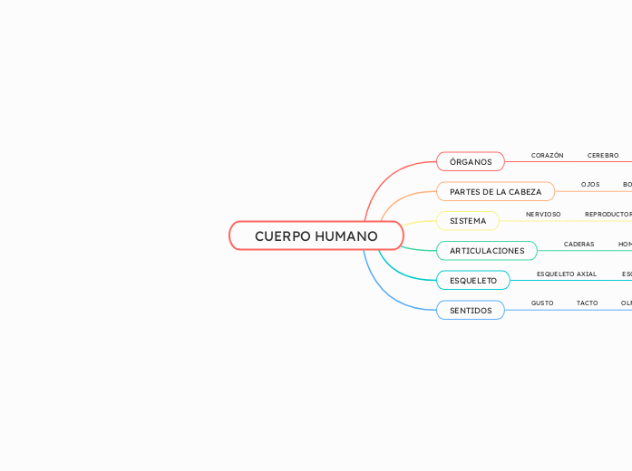 CUERPO HUMANO - Mapa Mental