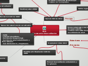 SUA
Sistema unico de acreditacion - Mapa Mental