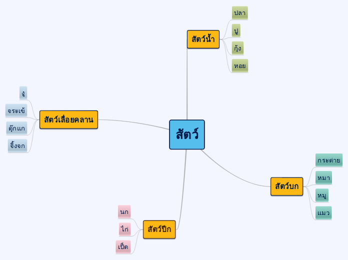 สัตว์ - Mind Map