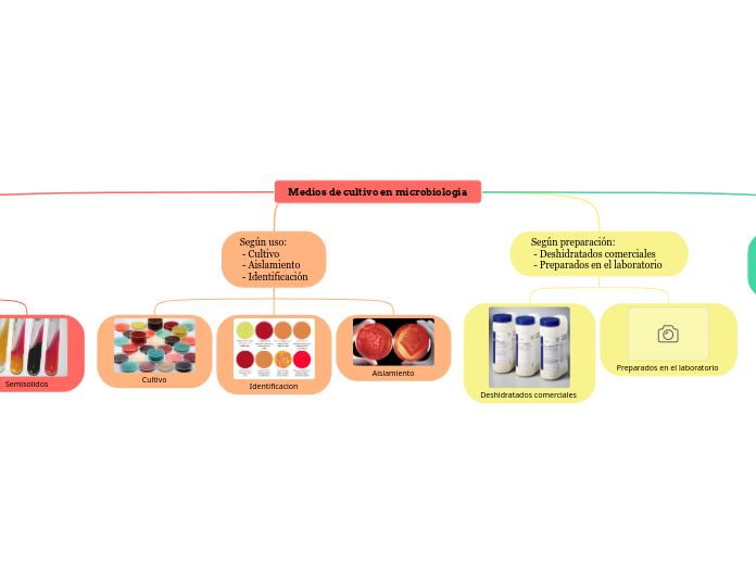 Medios de cultivo en microbiología