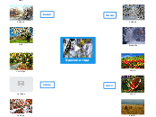 Времена года - Мыслительная карта