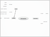 2nd section - Mind Map