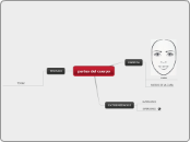 partes del cuerpo - Mapa Mental