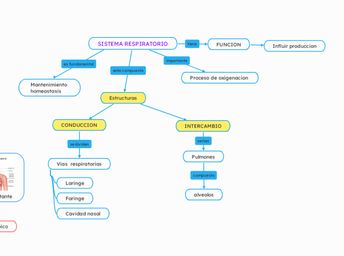 SISTEMA RESPIRATORIO
