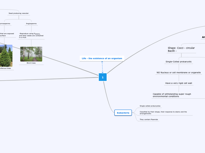1 - Mind Map