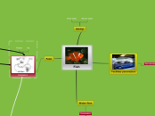 Fish - Mind Map