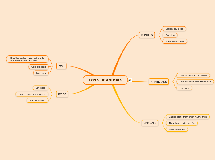 types-of-animals-mind-map