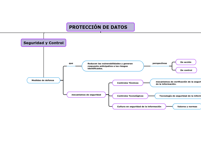 PROTECCIÓN DE DATOS - Mapa Mental