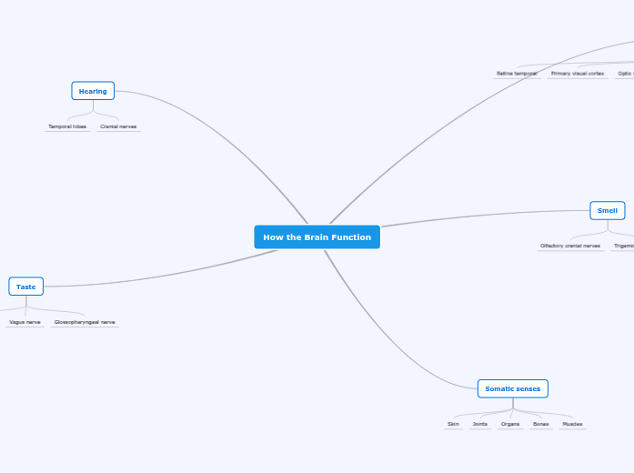 How the Brain Function - Mind Map