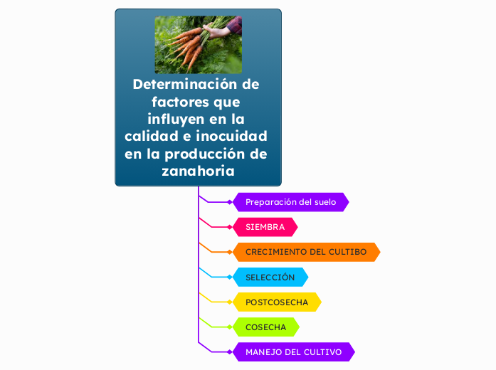 Determinación de factores que influyen ...- Mapa Mental