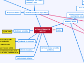 caso final - Mapa Mental