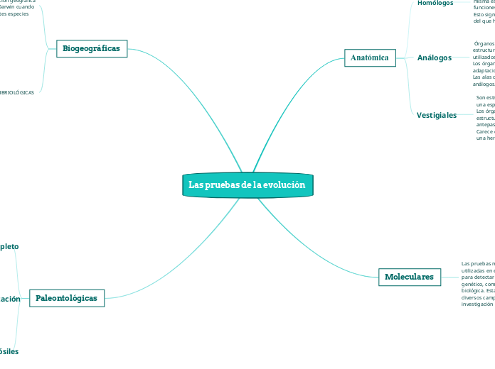 Las pruebas de la evolución  - Mapa Mental