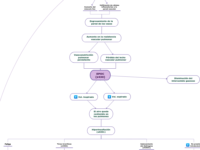 EPOC
(s430) - Mapa Mental