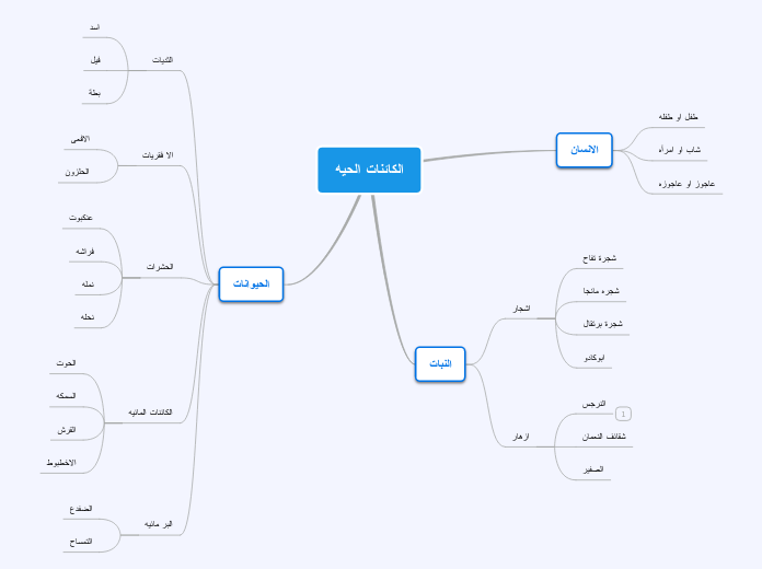الكائنات الحيه - Mind Map