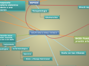INSUFICIENCIA RENAL CRÓNICA - Mapa Mental