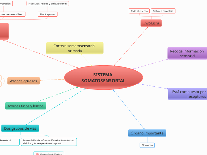 SISTEMA SOMATOSENSORIAL