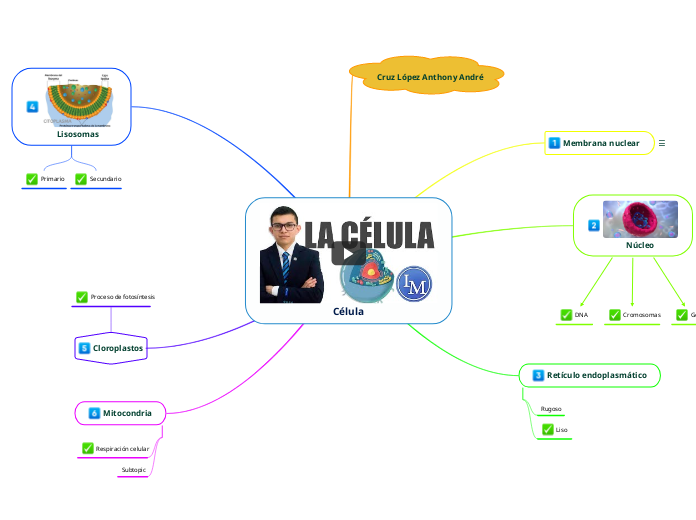 Célula - Mapa Mental