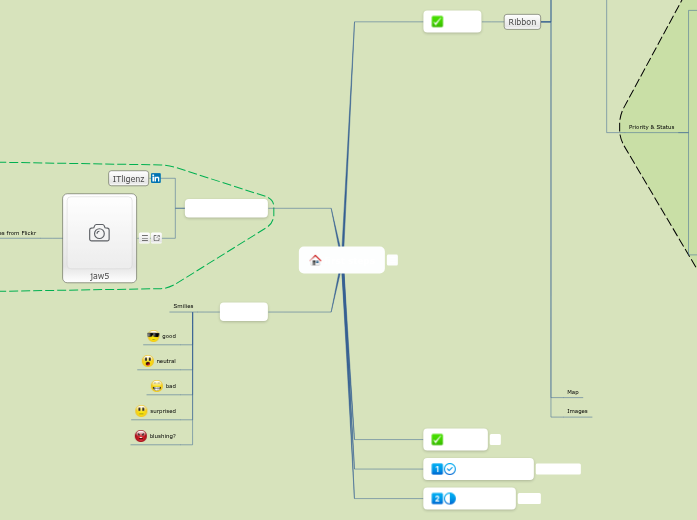 First Steps with MINDOMO - Mind Map