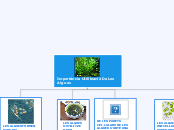 Importància Utilització De Les Algues - Mind Map