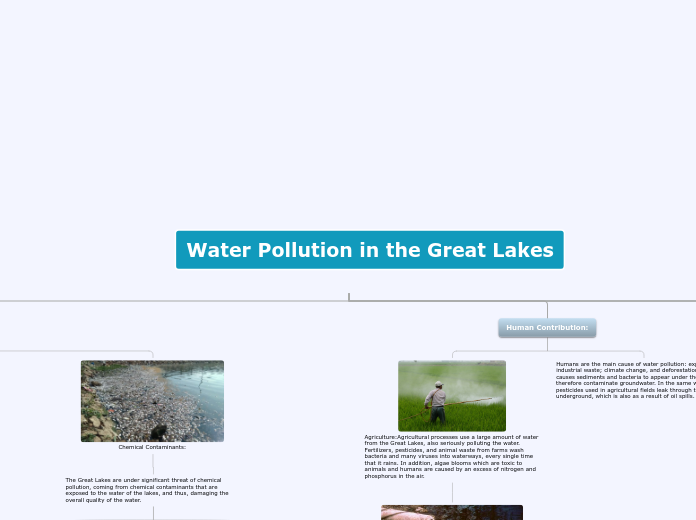 Water Pollution in the Great Lakes - Mind Map