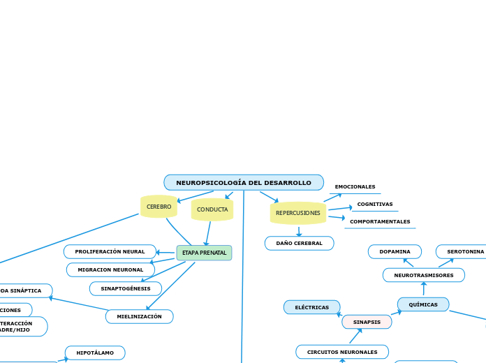 NEUROPSICOLOGÍA DEL DESARROLLO - Mapa Mental