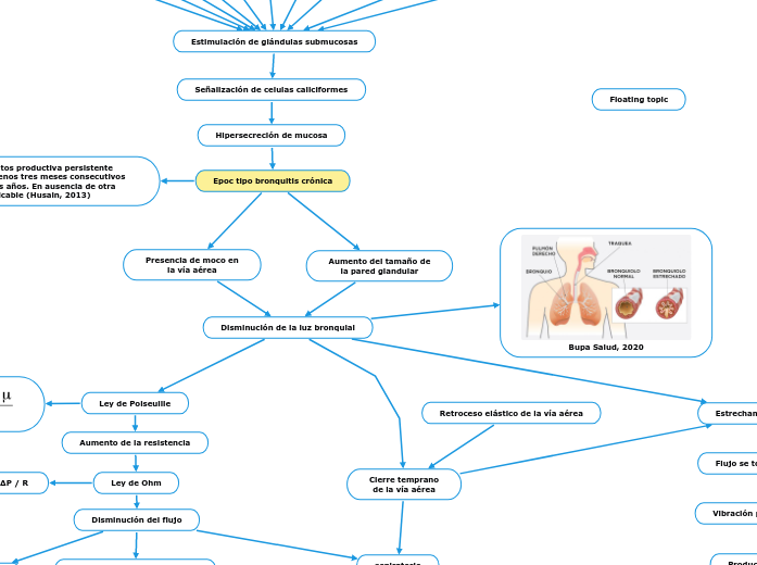 Epoc tipo bronquitis crónica - Mapa Mental