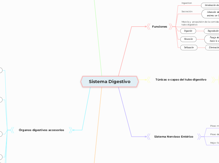 Sistema Digestivo - Mapa Mental