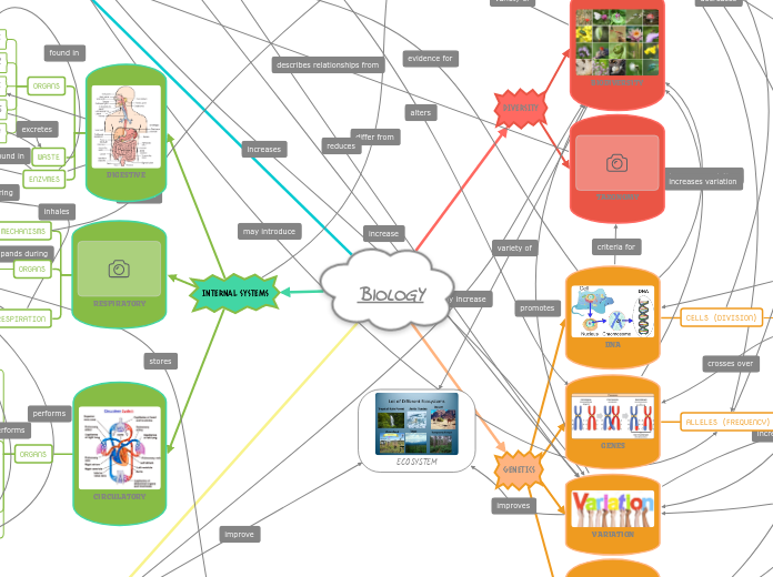BIOLOGY - Mind Map