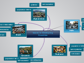 Issues in Developing Countries - Mind Map