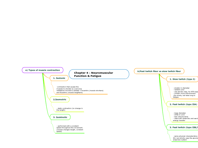 Chapter 4 - Neuromuscular Function & F...- Mind Map