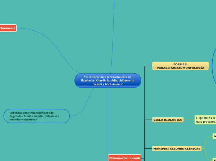 “Identificación y reconocimiento de fla...- Mapa Mental