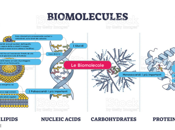Le Biomolecole - Mappa Mentale