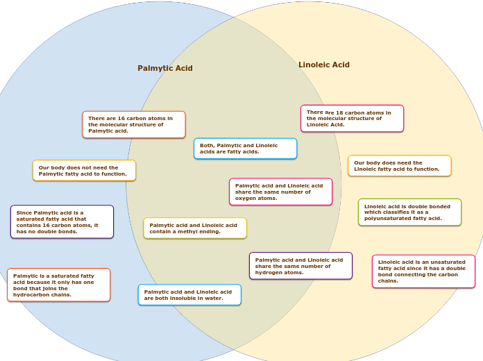 FRUCTOSE &amp;amp; ALPHA GLUCOSE - Mind Map