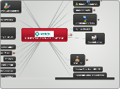SCHERING PLOUGH - MERCK - Mapa Mental