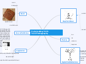 Culminating - Photography - Mind Map
