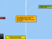 ORGANIZACIÓN Y REGISTRO DE INFORMACIÓN....- Mapa Mental