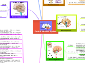 Central Nervous System - Mind Map
